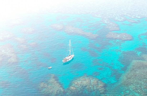 Major Tom -Sailing Day Cruise, with Snorkeling & Lunch