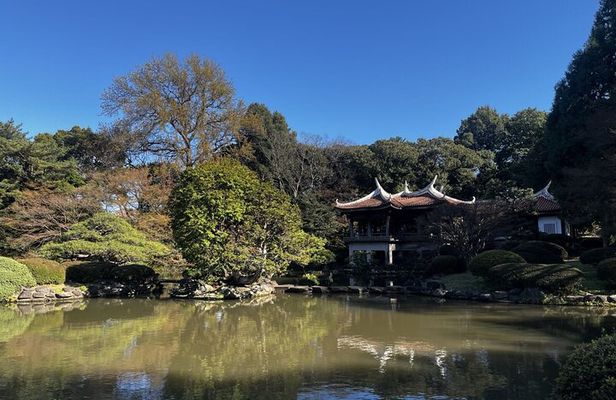 Full Day Walking Tour in Shinjuku and Shibuya