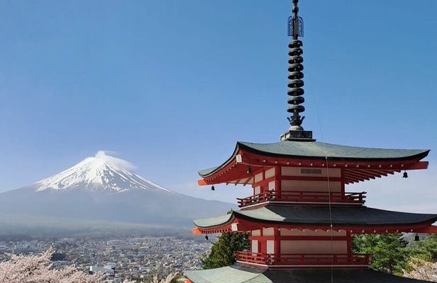 Private Car tour to Mt. Fuji/Hakone with English Driver/Guide