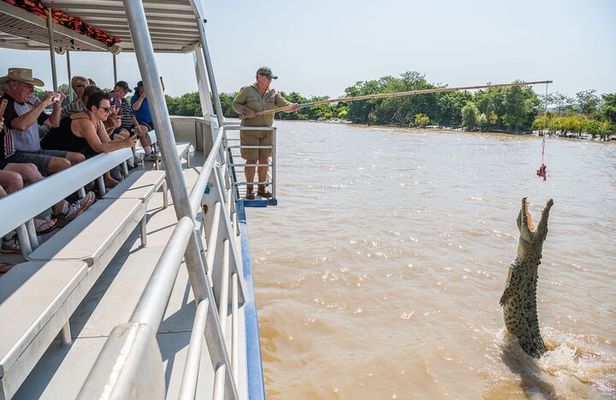 Spectacular Jumping Crocodile Cruise with Darwin Transfer Bus