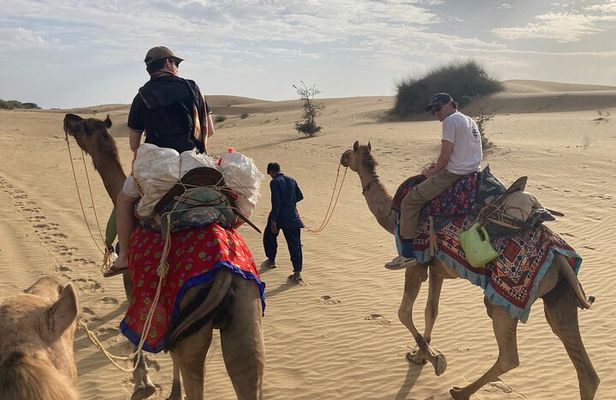 3 Days Tour in Wild Desert Safari