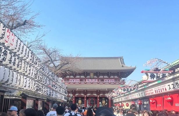 First-Time in Tokyo? Experience the Best with Our Private Tour!
