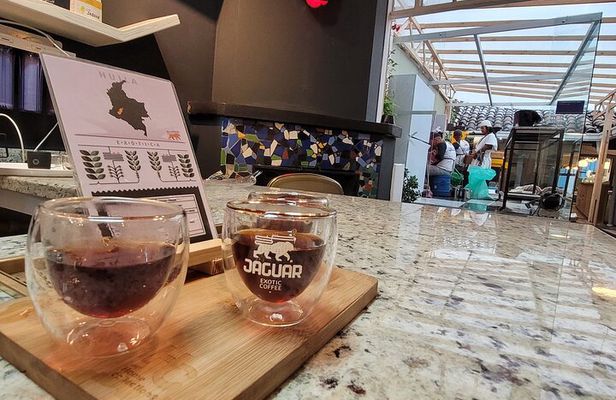Full Exotic Coffee Experience: Tasting, Roasting and Filtered