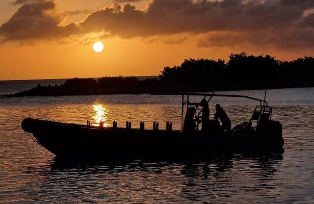 Private Charter Sunset Sailing Cruise W Drinks