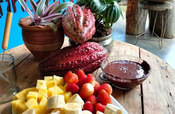 Cocoa and Chocolate Tour in San Rafael from Medellín