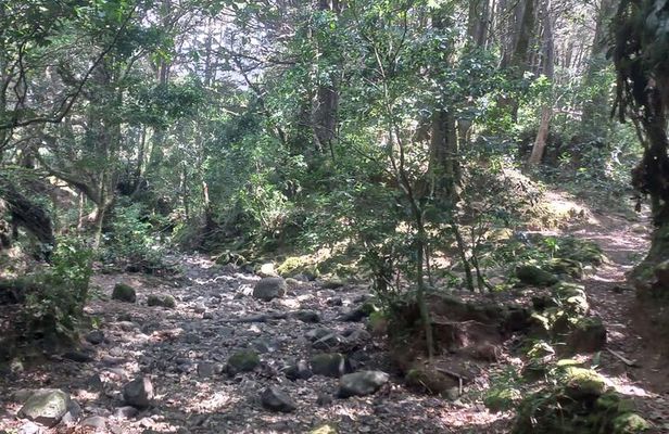 Travel to Heredia and the mountains