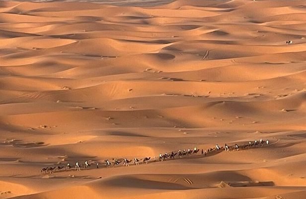 Private Luxury Tents ,Camel ride and Sandboard in Merzouga Desert