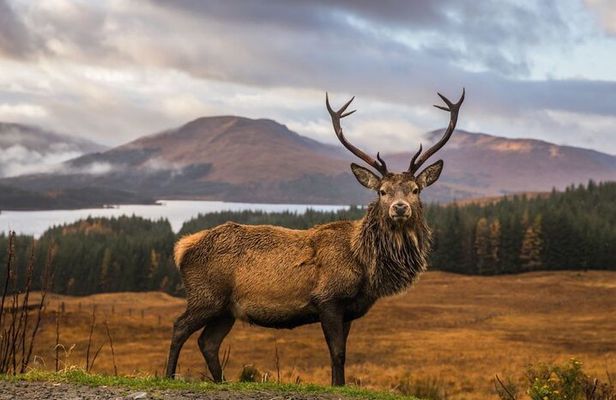 Private Isle of Skye Tour