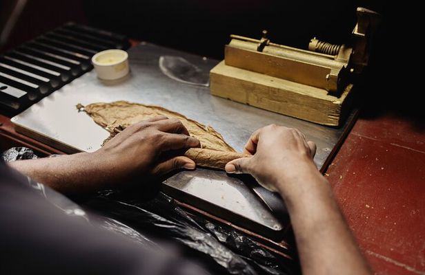 Make your Own Cigar in Puerto Plata