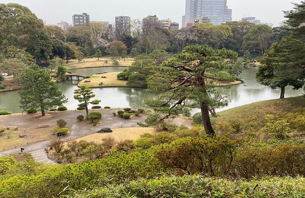Sugamo: Exploring Grandma's Harajuku and Rikugien Garden