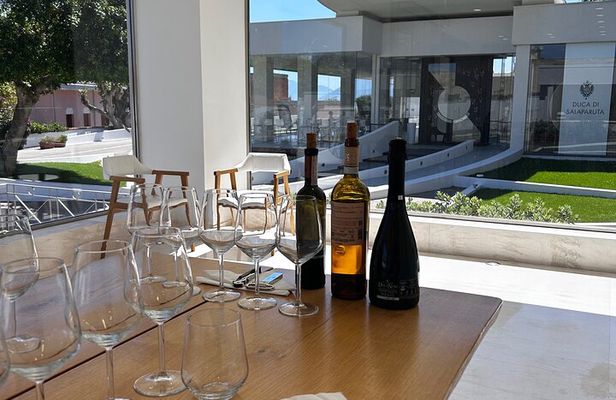 Wine Tasting Experience for Small Groups from Palermo