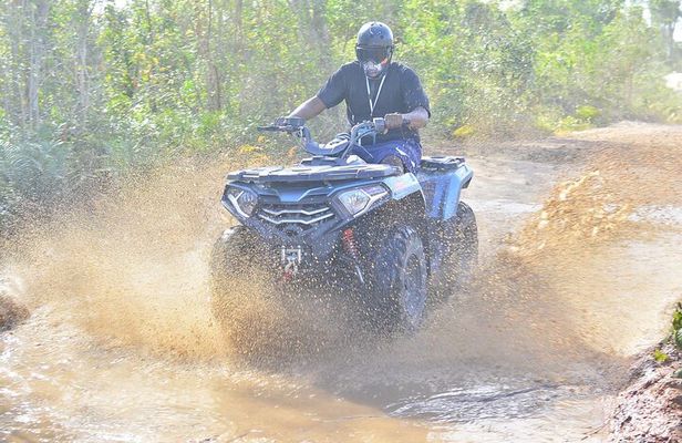 Tours Buggy Punta Cana Macau
