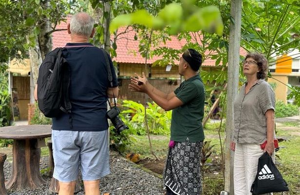 From Ubud: Authentic Cooking Class Visit Traditional Market
