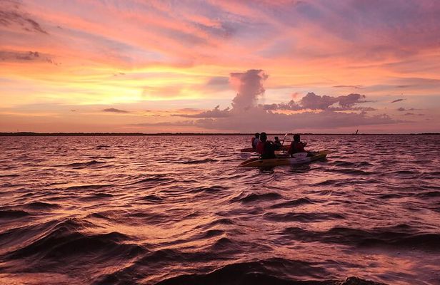 Magic After Dark Bioluminescence Kayak Tour Orlando