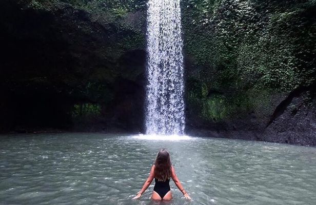 Ubud Waterfalls, Temple and Rice Terrace - Private Tour 