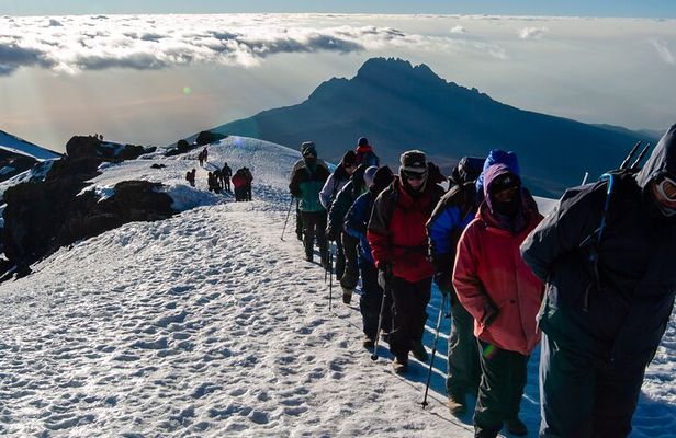 8 Days Mount Kilimanjaro Climbing Lemosho Route