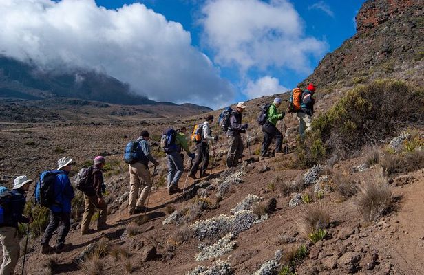 7 Days Mount Kilimanjaro Climbing Machame Route: