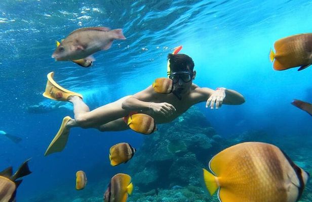 Day Trip: Nusa Penida Snorkling