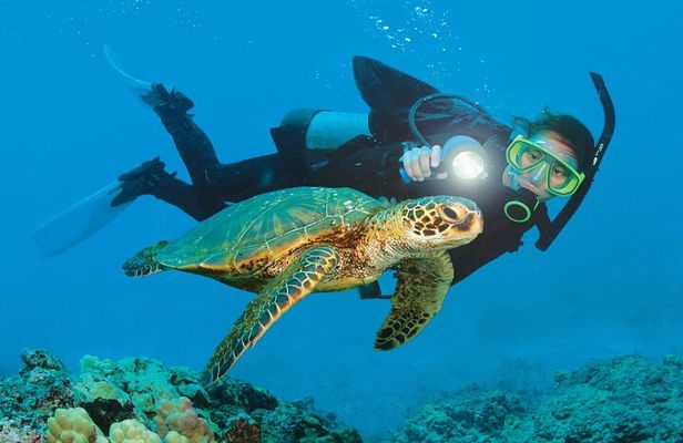 From Side, Alanya: Scuba Diving With 2 Time Dive & Lunch