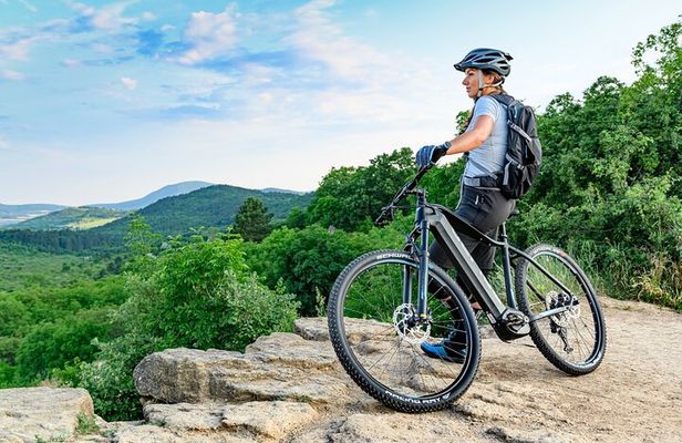 Semi-Private Off-Road eBike Tour in The Buda Hills