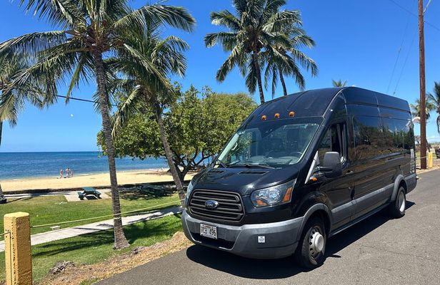 Kona Cruise Ship Excursion Hapuna Beach Day, Petroglyphs & NHS
