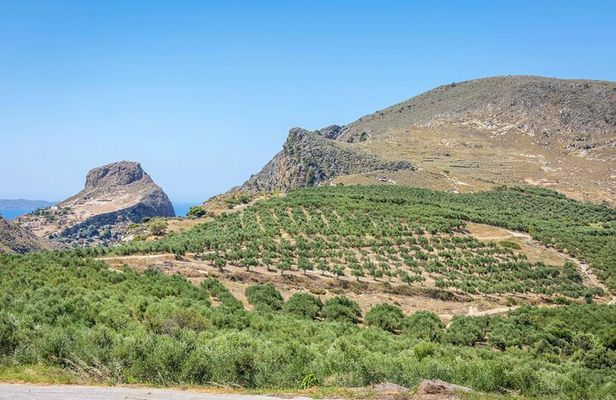 Western Crete with Winery and Olive Oil Estate Tour