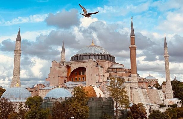 Istanbul Morning Old Town Tour or Afternoon with Bosphorus Cruise