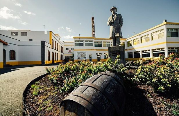 Banana Museum, Rum Distillery & Winery guided tour with tasting