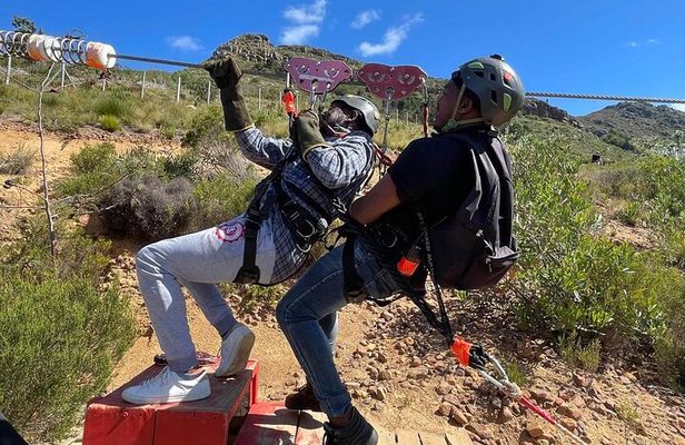 Table Mountain Full Day Trip, Zipline Adventure and Wine Tasting