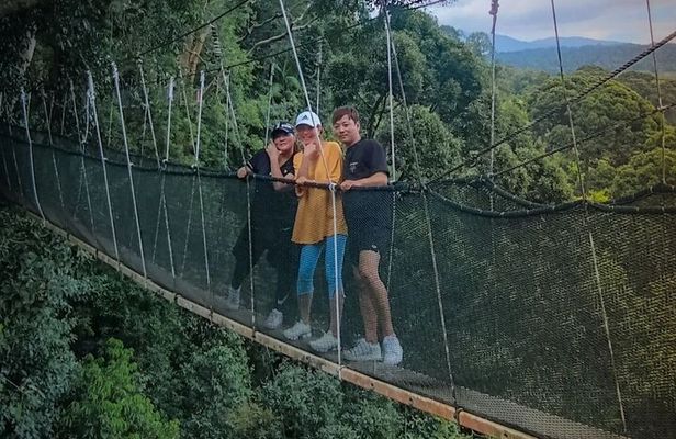 Day Trip to Kinabalu Park and Poring Hot Spring Guided Tour