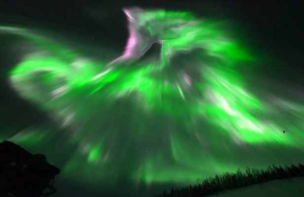 1 Day Shared Tour Arctic Circle and Aurora Viewing in Alaska