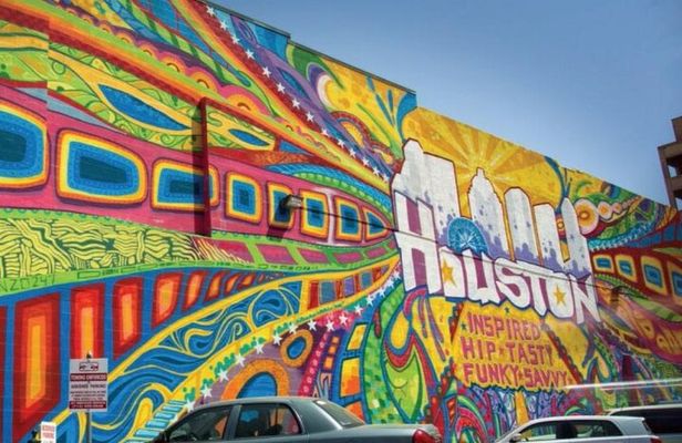 Day trip in Houston Texas with Lunch