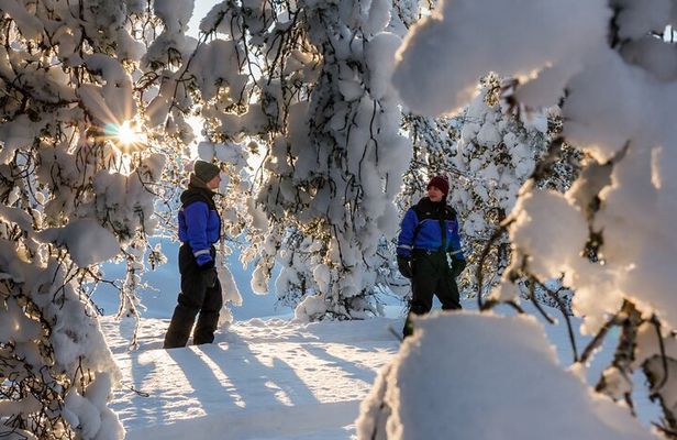 Scenic Levi Snowshoe Trip