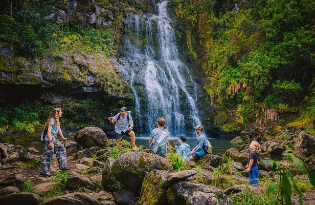 Private Ohana Kohala Waterfalls Adventure 