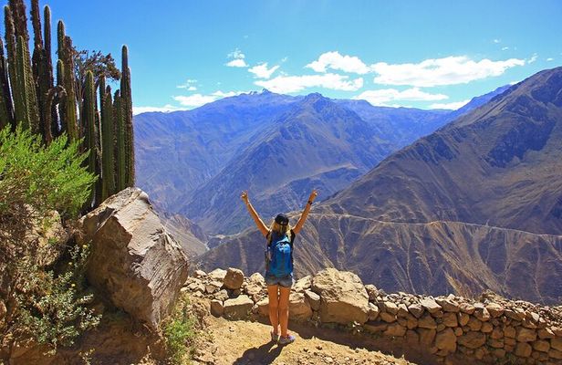 Arequipa : Colca Canyon 2 Days & 1 Night - Advenure