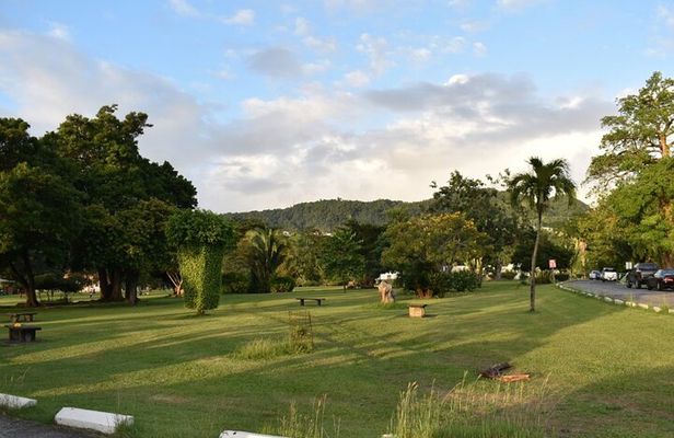 Relax in Hot Springs and swim in Titou Gorge and Trafalgar Falls