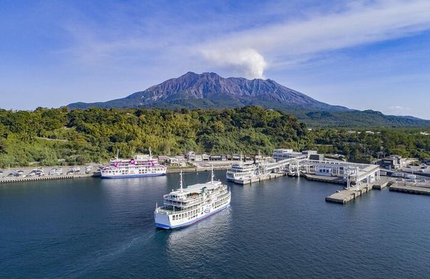 Discover the Wonders of Sakurajima Half Day Tour in Kagoshima