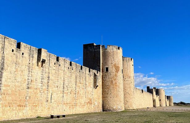 Small group half day Camargue and Aigues Mortes tour