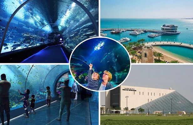 Private Hamad Port Tour in Mesaieed |Aquarium |Maritime Museum