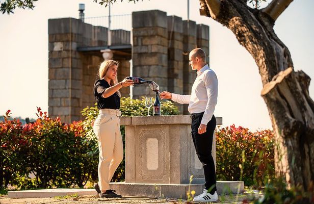 Wine Degustation in the Heart of Slovenian Istria