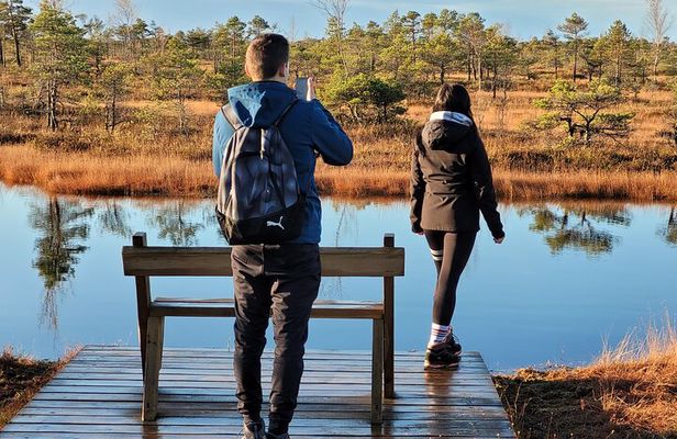 Great Ķemeri Bog and Swamp Forest Hiking Adventure