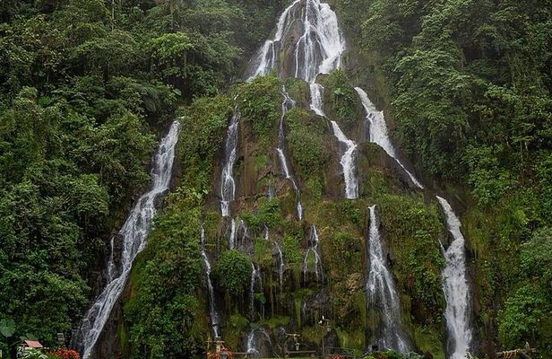 Tour to Santa Rosa de Cabal Coffee Farm and Hot Springs