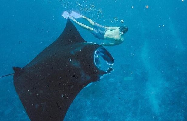 From Bali: Nusa Penida Snorkeling and Island Tour