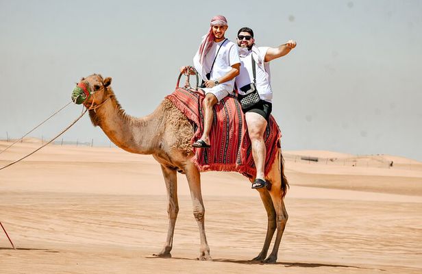 Dubai Morning Desert Safari, & Camel ride