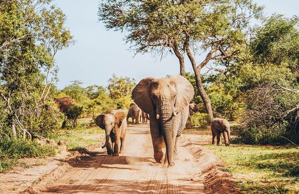 4 Days Radisson Safari Hotel and Kruger National Park, Limpopo 