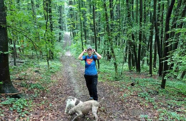 Private Guided Truffle Hunting Tour in Serbia with Lunch