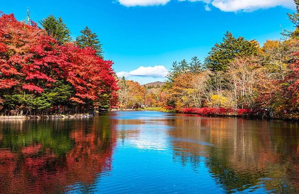 Karuizawa, Kawagoe and Hashino Resort Shrine Day Tour from Tokyo