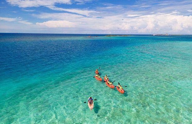 Aruba Kayak Explorers