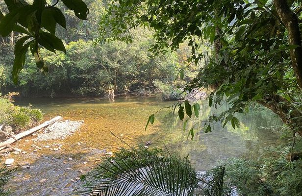 The best Private Tour to Jungle+Rafting+Paragliding+Natural pool