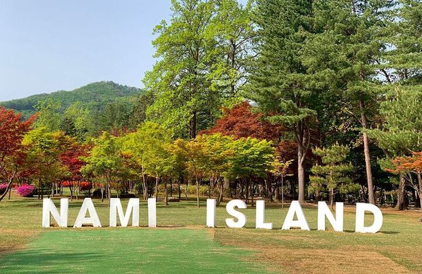 Nami Island, Petite France with Rail Bike Day Tour From Seoul